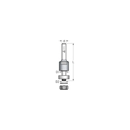 Kotelis diskeliams