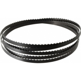 1710 mm ilgio
